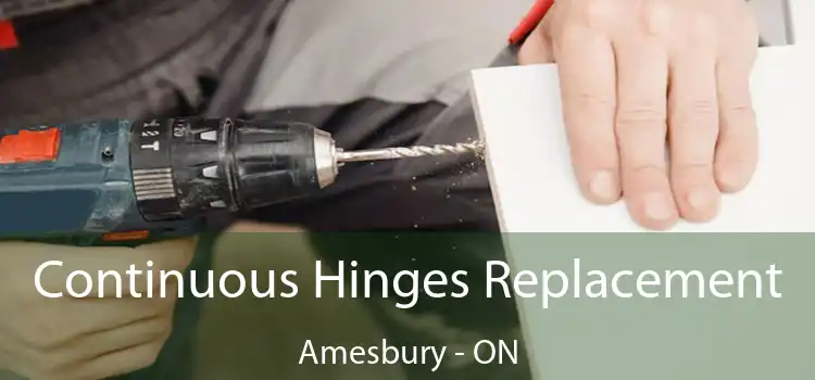  Continuous Hinges Replacement Amesbury - ON