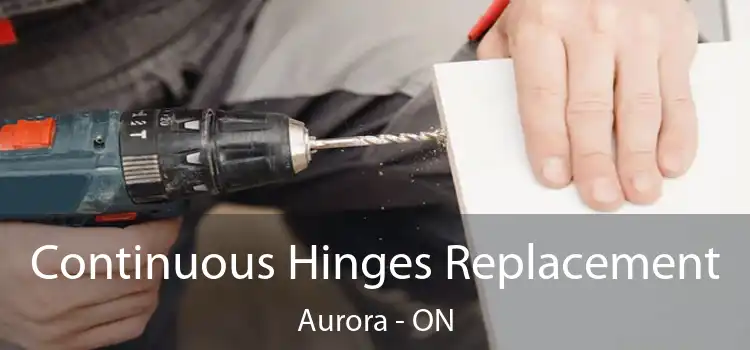 Continuous Hinges Replacement Aurora - ON