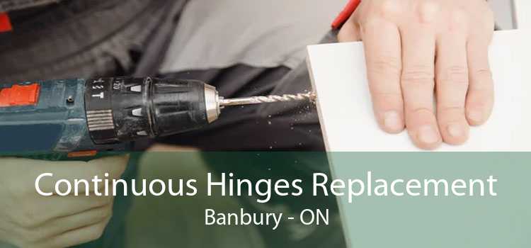 Continuous Hinges Replacement Banbury - ON