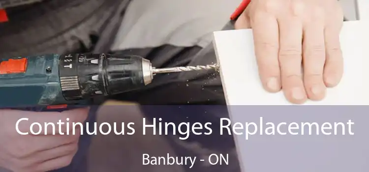  Continuous Hinges Replacement Banbury - ON