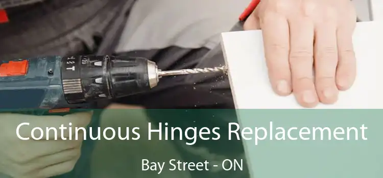  Continuous Hinges Replacement Bay Street - ON