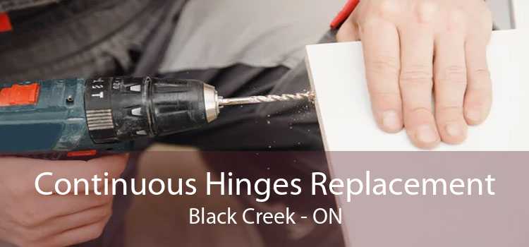 Continuous Hinges Replacement Black Creek - ON
