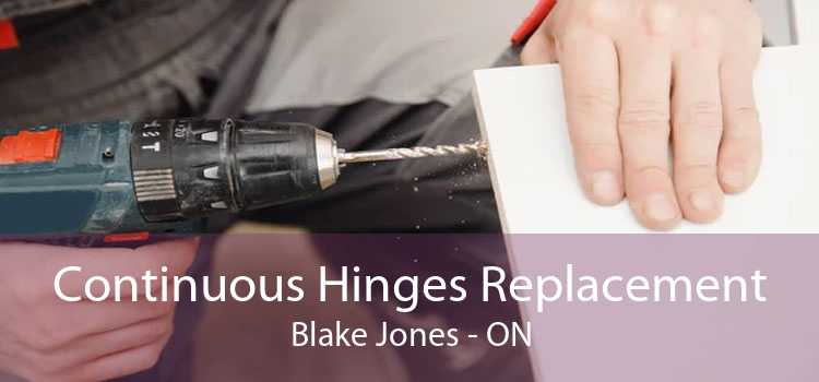 Continuous Hinges Replacement Blake Jones - ON