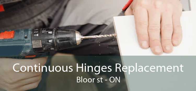 Continuous Hinges Replacement Bloor st - ON