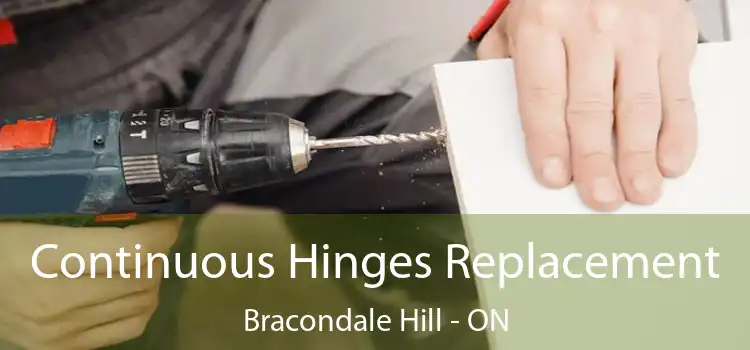  Continuous Hinges Replacement Bracondale Hill - ON