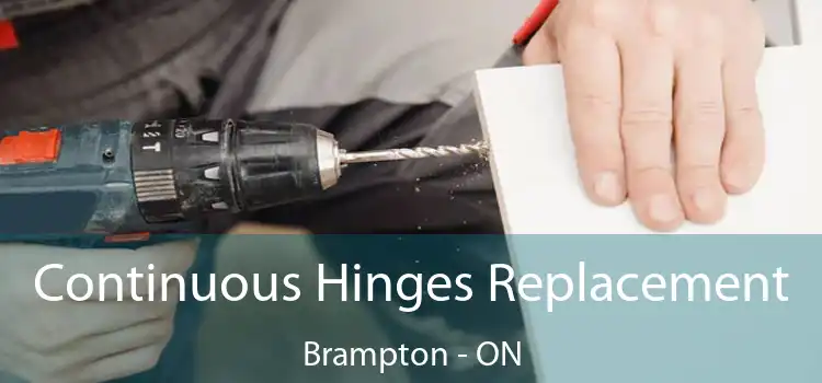  Continuous Hinges Replacement Brampton - ON