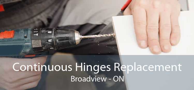 Continuous Hinges Replacement Broadview - ON