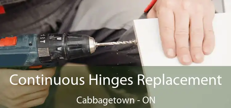  Continuous Hinges Replacement Cabbagetown - ON