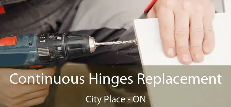  Continuous Hinges Replacement City Place - ON