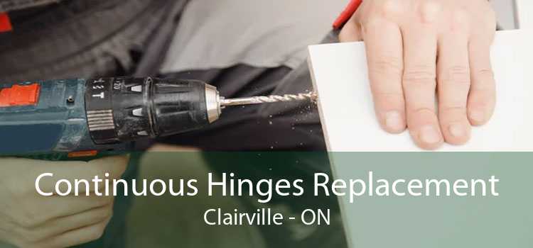 Continuous Hinges Replacement Clairville - ON
