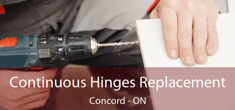  Continuous Hinges Replacement Concord - ON
