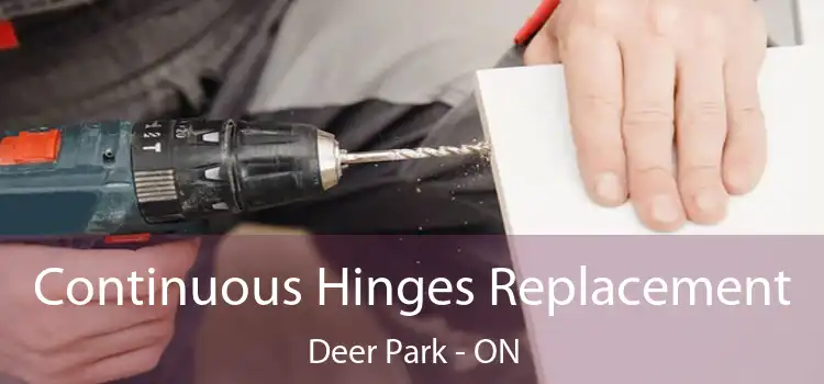  Continuous Hinges Replacement Deer Park - ON