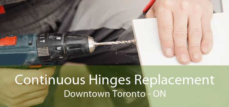 Continuous Hinges Replacement Downtown Toronto - ON