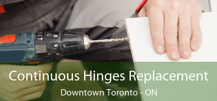  Continuous Hinges Replacement Downtown Toronto - ON