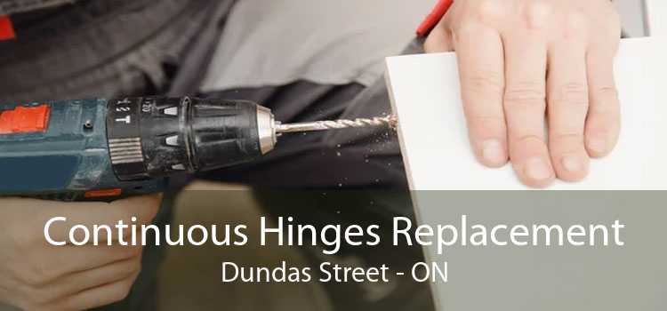 Continuous Hinges Replacement Dundas Street - ON