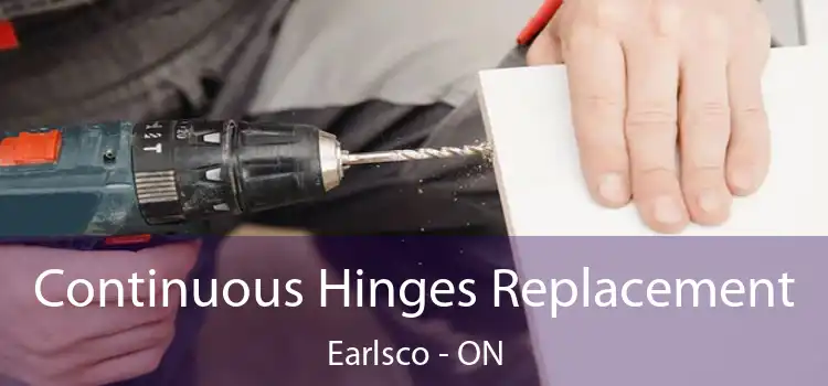  Continuous Hinges Replacement Earlsco - ON