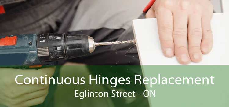 Continuous Hinges Replacement Eglinton Street - ON
