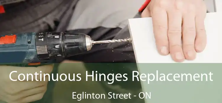  Continuous Hinges Replacement Eglinton Street - ON