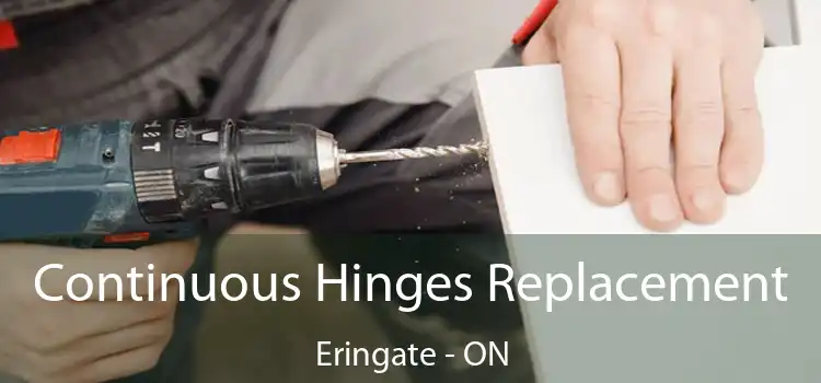  Continuous Hinges Replacement Eringate - ON