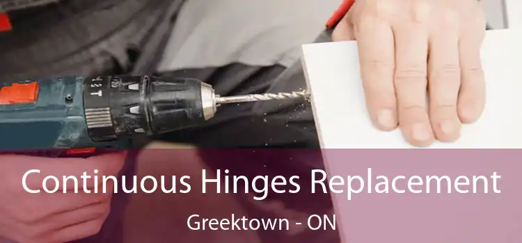  Continuous Hinges Replacement Greektown - ON