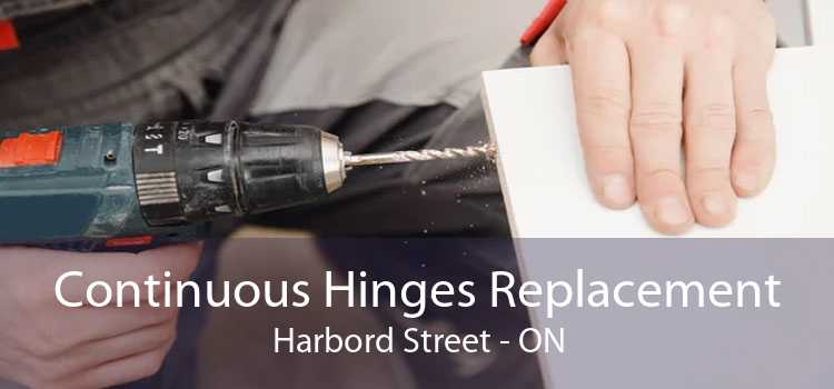 Continuous Hinges Replacement Harbord Street - ON