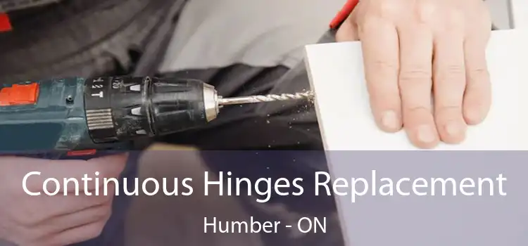  Continuous Hinges Replacement Humber - ON