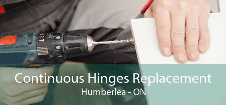 Continuous Hinges Replacement Humberlea - ON