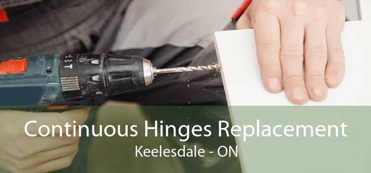 Continuous Hinges Replacement Keelesdale - ON
