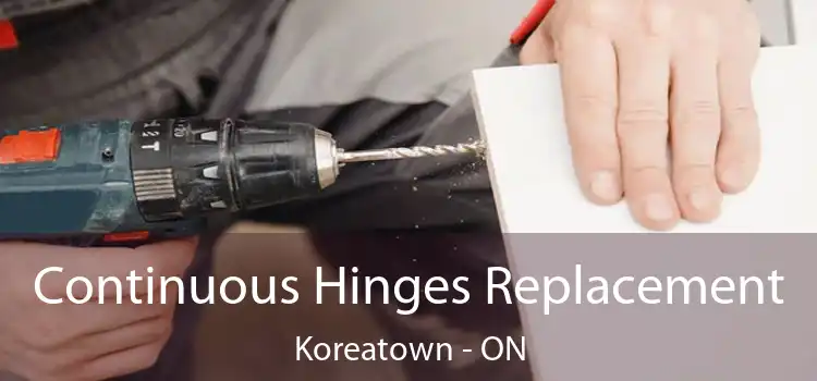  Continuous Hinges Replacement Koreatown - ON