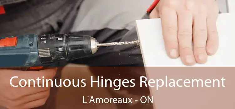  Continuous Hinges Replacement L'Amoreaux - ON