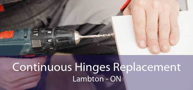 Continuous Hinges Replacement Lambton - ON