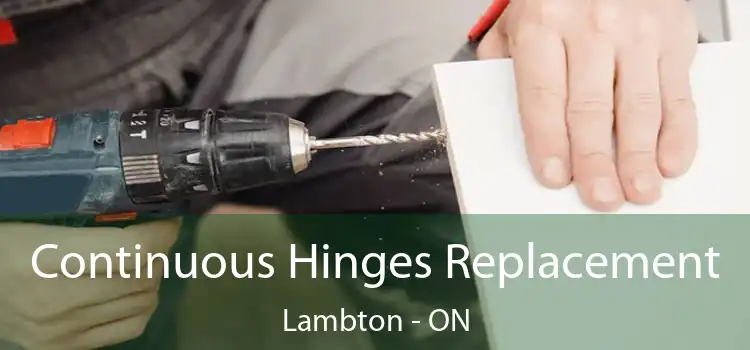  Continuous Hinges Replacement Lambton - ON