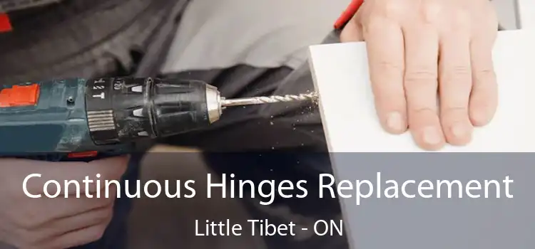  Continuous Hinges Replacement Little Tibet - ON