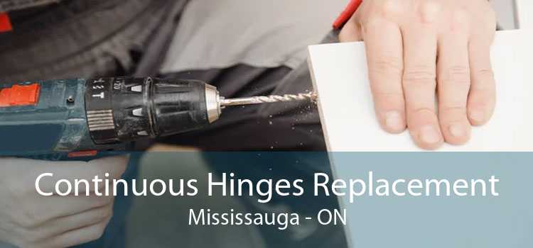 Continuous Hinges Replacement Mississauga - ON