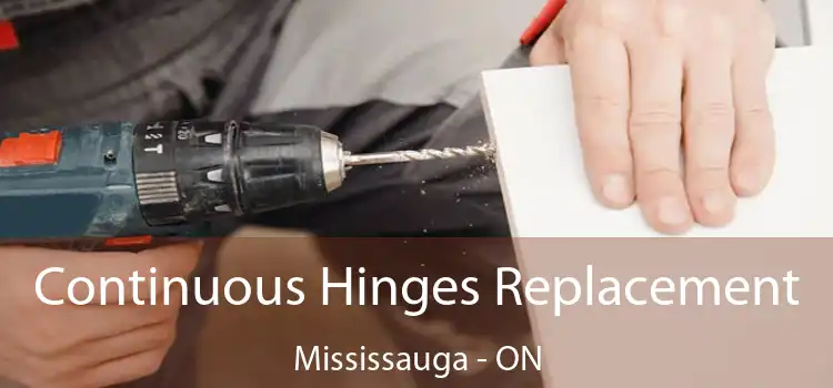  Continuous Hinges Replacement Mississauga - ON