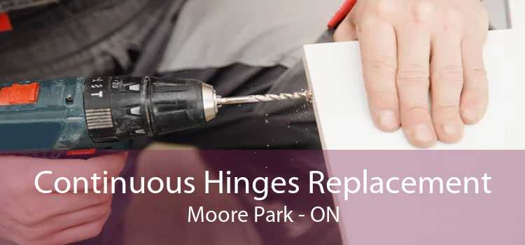 Continuous Hinges Replacement Moore Park - ON