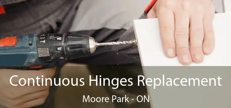  Continuous Hinges Replacement Moore Park - ON