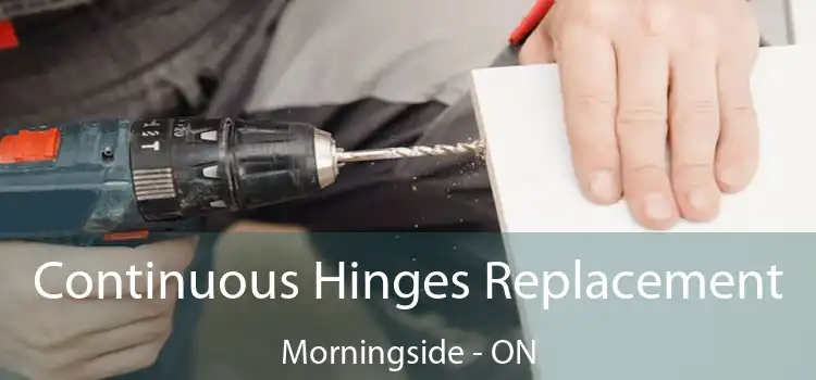  Continuous Hinges Replacement Morningside - ON