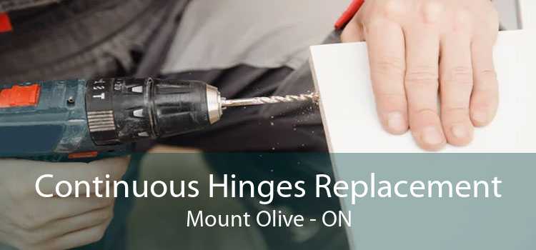 Continuous Hinges Replacement Mount Olive - ON