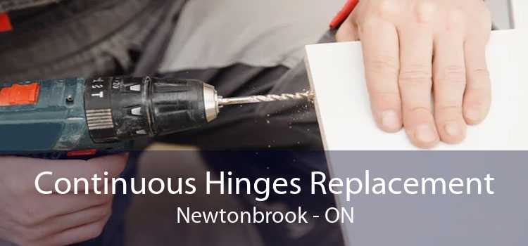 Continuous Hinges Replacement Newtonbrook - ON