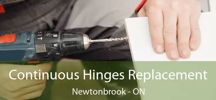 Continuous Hinges Replacement Newtonbrook - ON