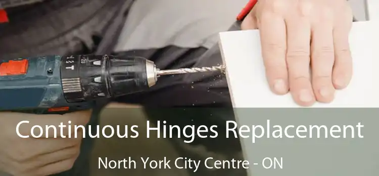  Continuous Hinges Replacement North York City Centre - ON