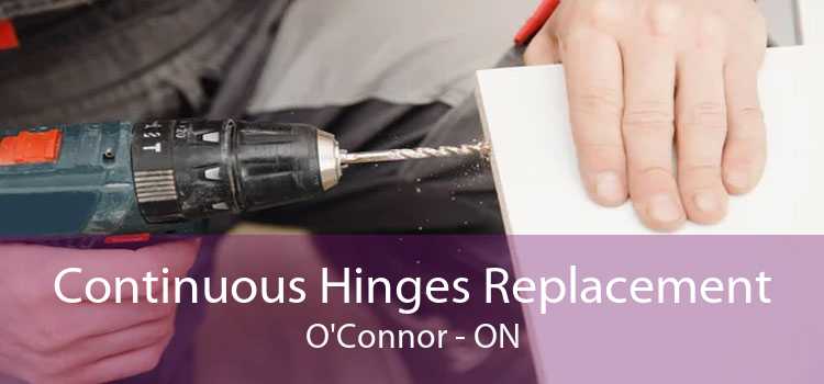 Continuous Hinges Replacement O'Connor - ON