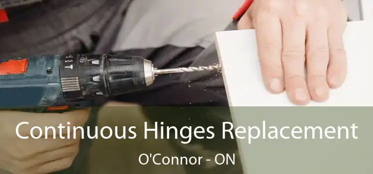  Continuous Hinges Replacement O'Connor - ON