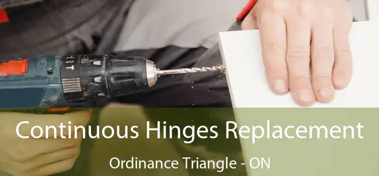  Continuous Hinges Replacement Ordinance Triangle - ON