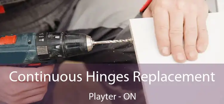  Continuous Hinges Replacement Playter - ON