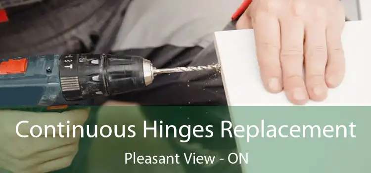  Continuous Hinges Replacement Pleasant View - ON