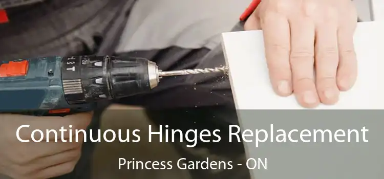  Continuous Hinges Replacement Princess Gardens - ON
