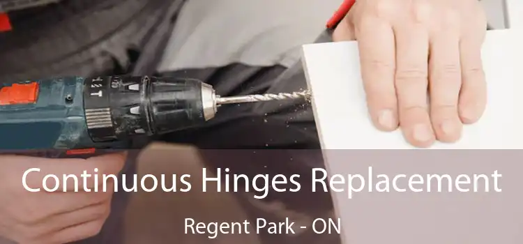 Continuous Hinges Replacement Regent Park - ON