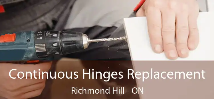  Continuous Hinges Replacement Richmond Hill - ON